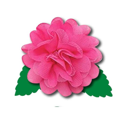 Percha de puerta de hoja perenne intercambiable Spring Home Sweet Home 2DHB1725 - Imagen 6 de 6