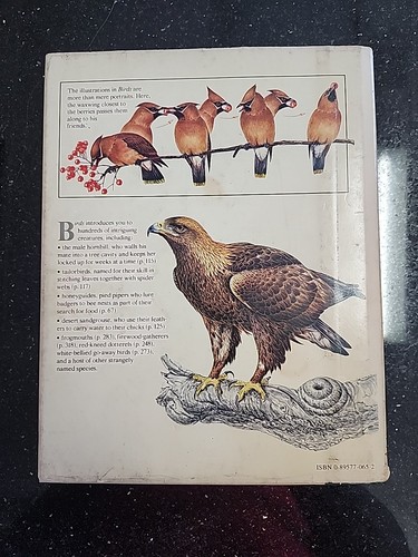 BIRDS: Their Life Their Ways Their World by Reader's Digest HC/DJ Illustrated 79 - Bild 2 von 5