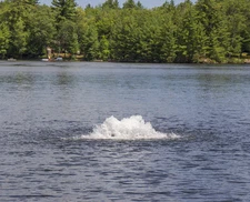 Kasco 4400AF050 1 HP Aerator w/ 50' Cord for Ponds/Lakes-surface bubbler