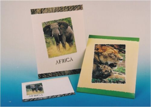 Briefpapier Set Mappe 10 Blatt & 10 Briefumschläge mit Elephantenmotiv - Bild 1 von 1