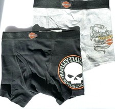Harley Davidson  Motorcycle Boys 2 pairs brief boxers Skulls  Snakes Underwear