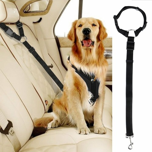 Hundeanschnallgurt Auto - Verstellbarer Sicherheitsgurt 33-60cm