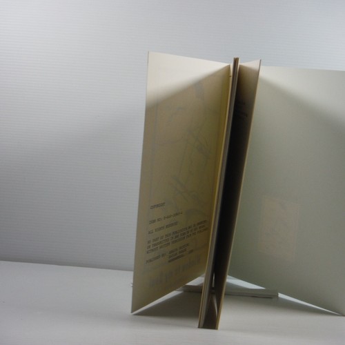Window To My Soul by Anthony Brady Illustrated Paul Kearny 1994 Poetry Book PB - Bild 7 von 12