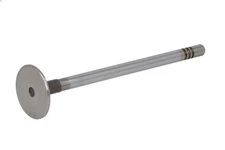 TRW 181018 Intake Valve