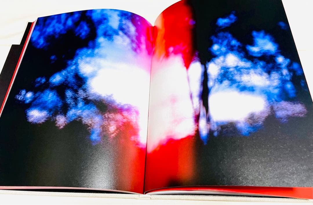 Abandom Reverie Mark Borthwick | eBay