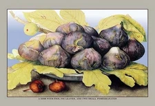 Dish with Figs, Fig Leaves and Small Pomegranates Giovanna Garzoni Poster Print