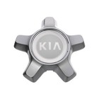Oem New Genuine Wheel Hub Center Cap Chrome w/Kia Logo 2015 K900 52960-3T300 (For: Kia)