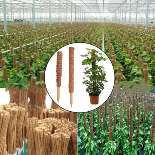 Plant Climbing Coir Totem Pole Safe Gardening Coconut Stick For Climbing Plants