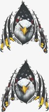 Eagle Screaming Usa America Flag Rv Graphics Decals Vinyl Stickers Wrap 2- 15