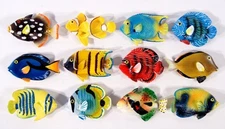 Hand Painted Art Tropical Fish Clownfish Refrigerator Magnet (Set of 12) 24U