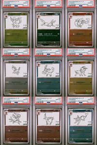 Yu Nagaba Pokemon Set | eBay
