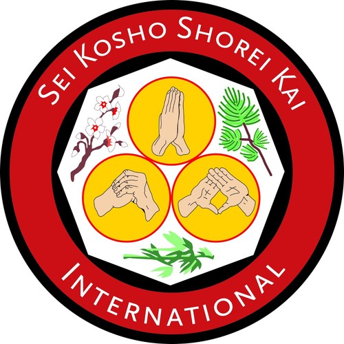 INSIGHTS OF KOSHO RYU KEMPO #12 DVD JUCHNIK MITOSE karate Ju jitsu Karate MMA - Foto 7 di 8