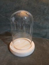 Glass Dome with Wooden Base