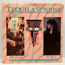 ROBIN ZANDER & ANN WILSON - Surrender To Me (1988) - 7" Vinyl Record 45RPM - EX