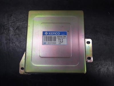2002 Hyundai XG300 / XG350 XG Steuergerät OEM 3911039185