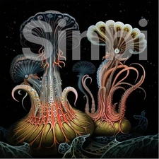 Digital Photo Frame Mushroom-00191 High Resolution Printable PNG File