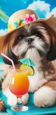 Shih Tzu Brown/White Summer Fun Beach Towel