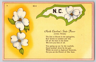 Postcard - Cornus Florida - Floridas State Flower