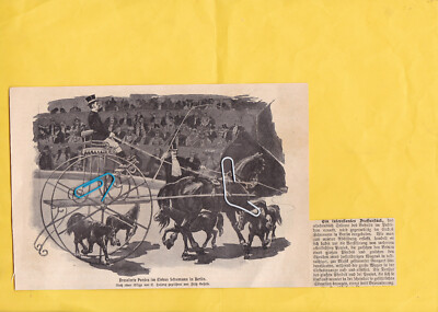 Berlin 1902  '' Cirkus Schumann in Berlin ''  Zeichnung u. Text von 1902