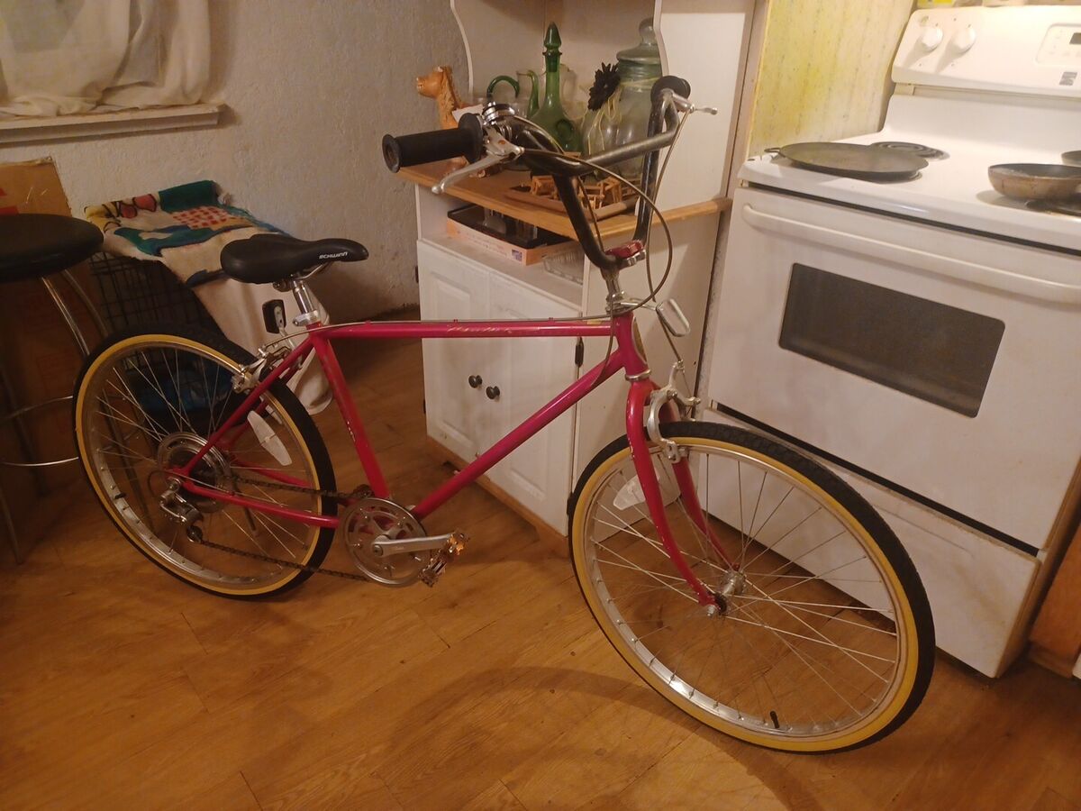 VINTAGE SCHWINN CRUISER SUPREME MULTI SPEED KLUNKER RARE VINTAGE SCHWINN CRUISER SUPREME MULTI SPEED KLUNKER RARE
