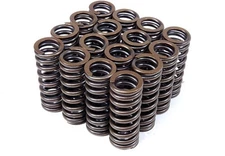 BLOX Racing Valve Springs for D-series SOHC VTEC D16Z-Y8 (1.6L SOHC VTEC)