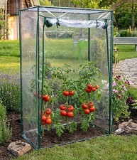 Serra GREENHOUSE L aiuola precoce serra aiuola precoce serra in lamina pomodori