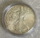 2014 1-oz American Silver Eagle AU .999- ENCAPSULATED