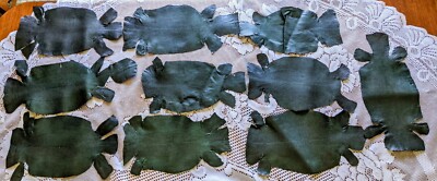 Lot of 10 Genuine Green Lizard Skins