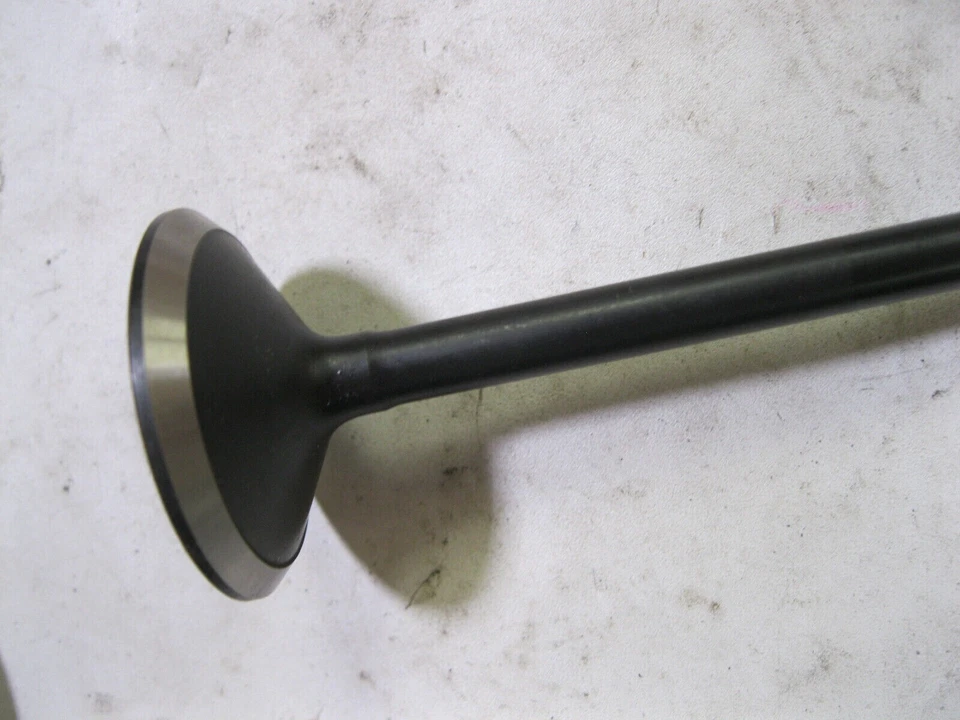 Engine Exhaust Valve DNJ 3617 Foto 4 de 4