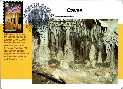 Dr Jim Stamps Maximum Card Longest Cave Mammoth Cancel Fdc