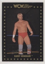 1991 Championship Marketing WCW Barry Windham #90 0kd8