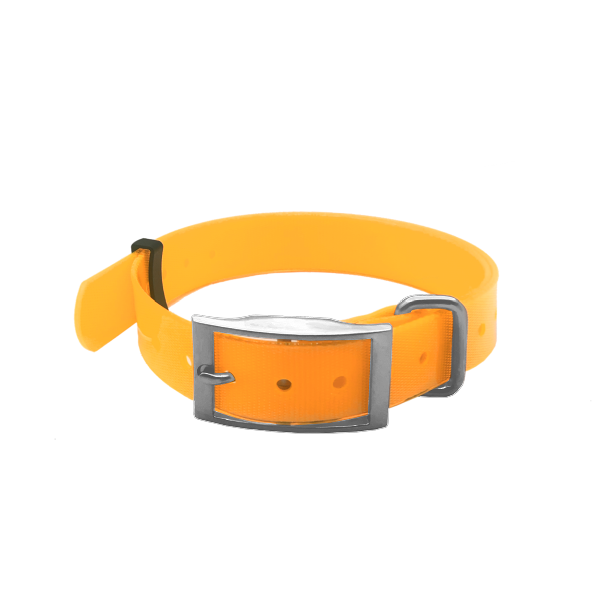 Garmin DC40 GPS Dog Tracking Collar for Astro220/320 USA Version