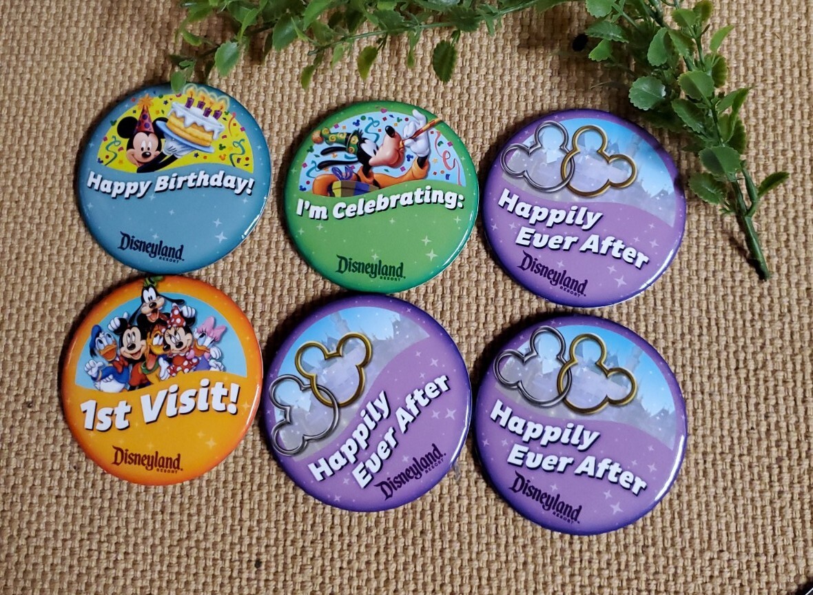 6 Walt Disney World Celebration Buttons 1st Visit, Celebrating