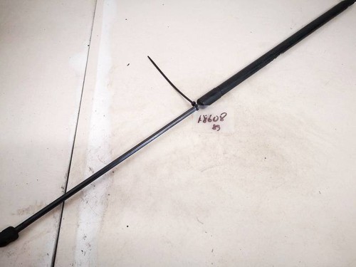 Volkswagen Passat 2007 Hood Support (strut front hood) 3c0823359a, #1773924-25