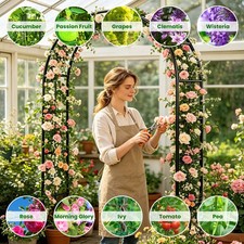 Garden Arch Trellis for Climbing Plants Wedding Arches for Multiple Occasions