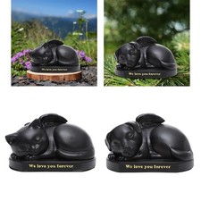 Urnes pour animaux de compagnie, étui souvenir en résine, boîte à mémoire,