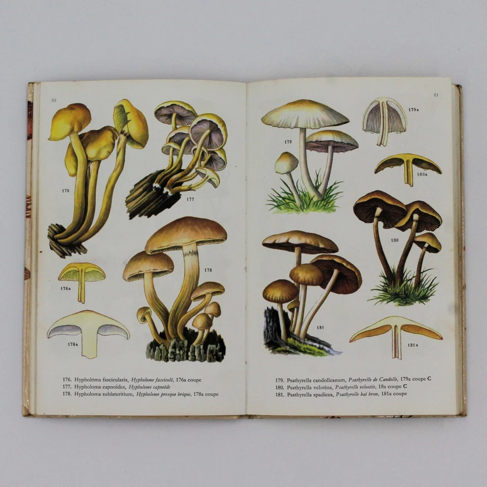 1975 Champignons Comestibles et Vénéneux – 343 Illustrations couleurs - Photo 4/4