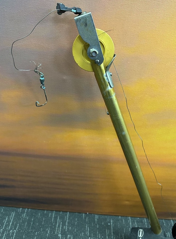 Penn Fathom Master 600 Boom Downriggers, Rod Holder, Pole & Tip eBay