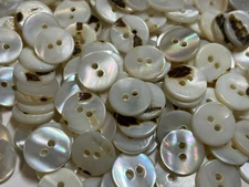 VERY RARE WHITE WASHIBODO SHELL BUTTON 11mm 13mm 15mm 20mm 2hole