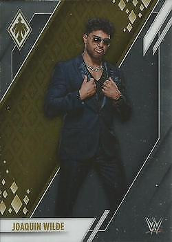 Joaquin Wilde 2022 Chronicles Phoenix WWE - #303 -