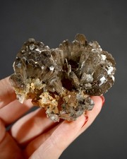 'Dragon's Blood Tree' Calcite - Fujian, China