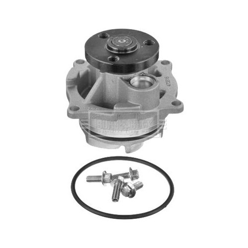 Ford Tourneo Connect 2002-2013 Wasserpumpe BWP1789-image