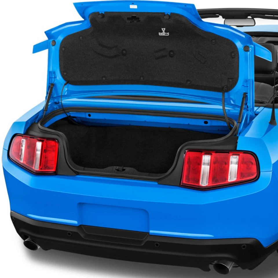 For Ford Mustang 2015-2021 Shock Damper Trunk Lift Supports Rod Gas Struts 2Pcs Foto 4 de 4