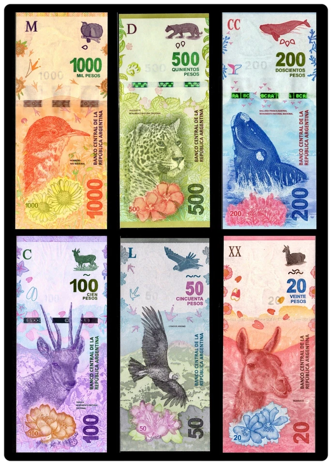 Argentina 20 50 100 200 500 1000 Pesos 6 Piezas JUEGO NUEVO, 2016-2019 Billete ND UNC Foto 2 de 4