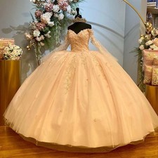Princess Quinceanera Dresses Ball Gown Long Sleeve Applique Lace Beading Sweet16