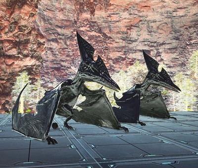 Ark Survival Ascended PVE Solid Black Pteranodon Pair