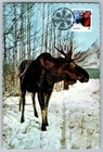 Canada 2015 Christmas Moose FDC Maxi Card w/Pictorial Cancel
