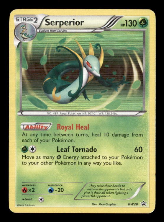 Serperior BW20 Holo Promo Black And White Promo Pokemon Moderately Played