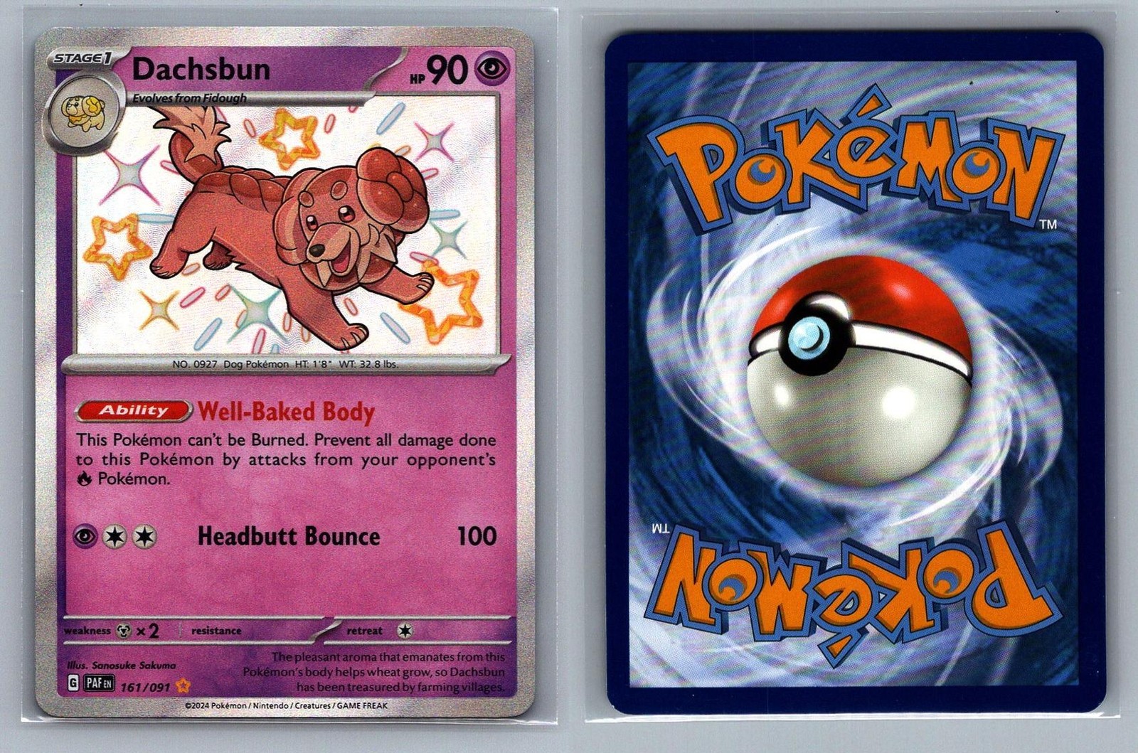 Dachsbun #161/091 Holo Paldean Fates Pokemon Card - NM