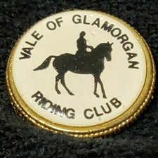 Vale Of Glamorgan Riding Club Horse Metal Pin Badge
